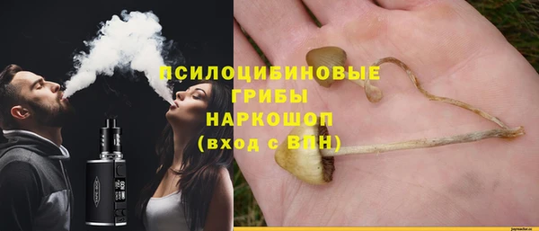 герыч Арсеньев