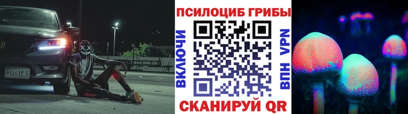 OMG вход  Баймак  Галлюциногенные грибы Magic Shrooms  даркнет сайт 