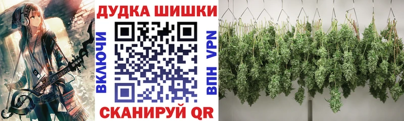 Бошки Шишки планчик Баймак